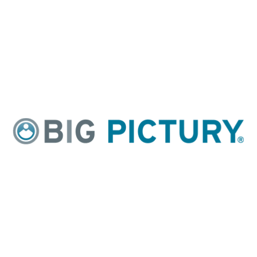 BIG PICTURY